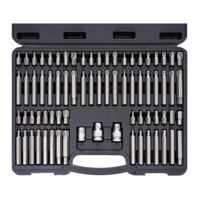 TORX RIBE SPLINE antgalių rinkinys 75vnt. KRAFT&DELE KD10954